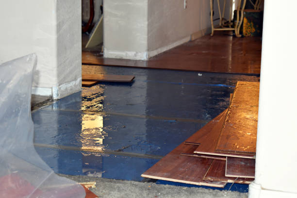 Professional Sewage Cleanup technician working in Plainville, KS